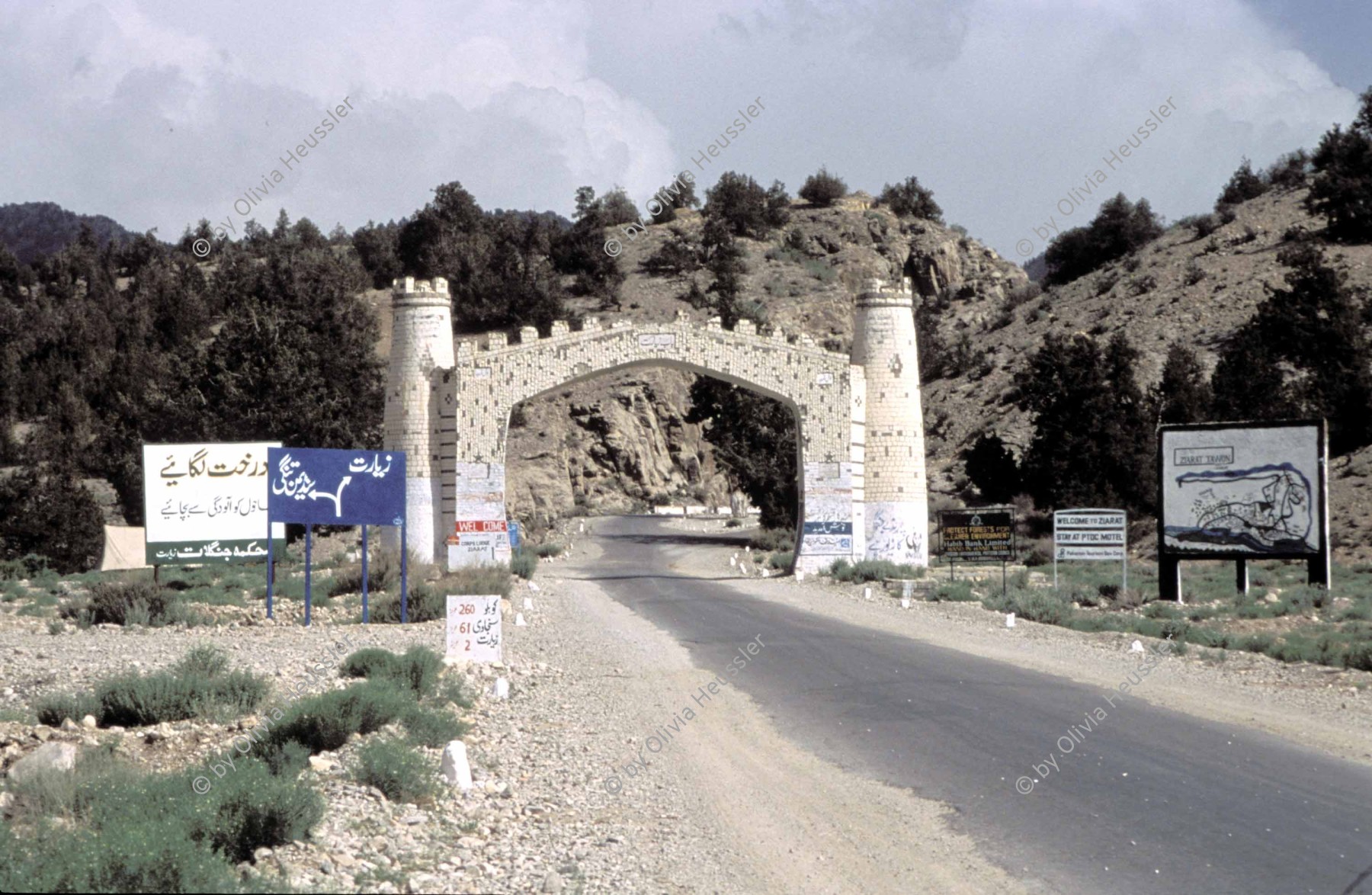 Image of sheet 20013001 photo 64: Pakistan Ziarat Baluchistan 2001