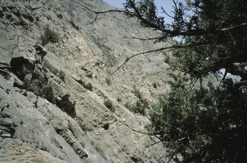 Image of sheet 20013014 photo 19: Expedition on Mount Chiltan with Boy Scouts, (Koh-i-Chiltan) of the Sulaiman Mountains, in the Quetta District of Balochistan Province, Pakistan 2001.