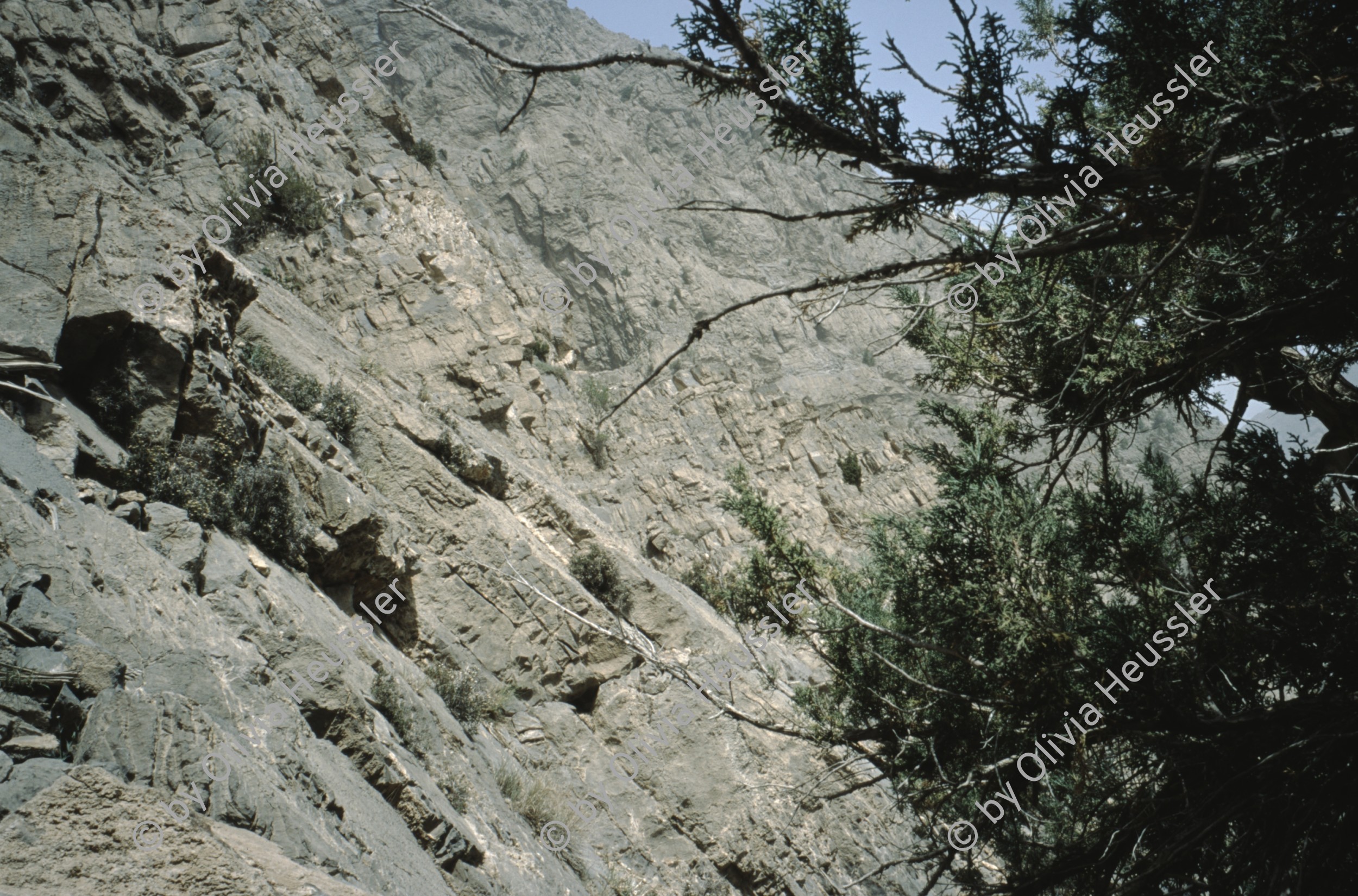 Image of sheet 20013014 photo 19: Expedition on Mount Chiltan with Boy Scouts, (Koh-i-Chiltan) of the Sulaiman Mountains, in the Quetta District of Balochistan Province, Pakistan 2001.