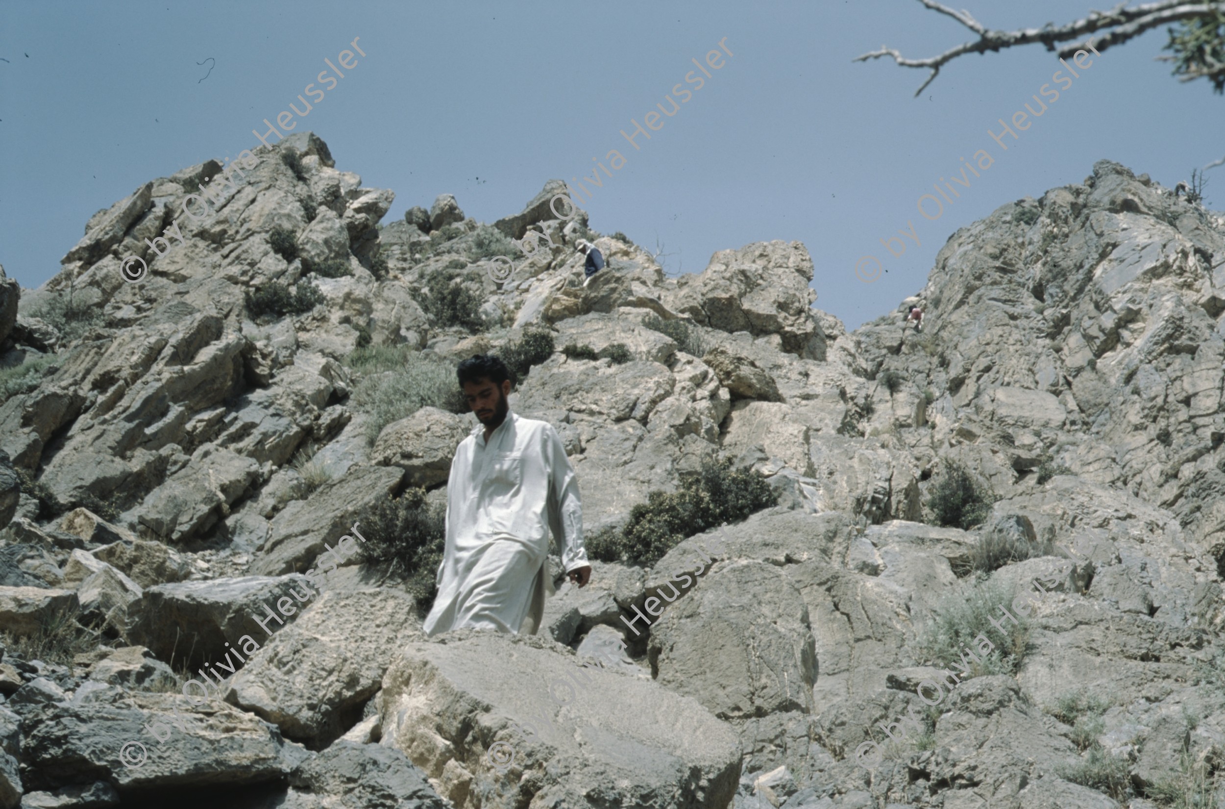 Image of sheet 20013014 photo 6: Expedition on Mount Chiltan with Boy Scouts, (Koh-i-Chiltan) of the Sulaiman Mountains, in the Quetta District of Balochistan Province, Pakistan 2001.
