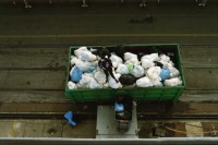 Image of sheet 20020020 photo 1: Abfalltonne Abfall Müll wird aus dem Kreuzfahrtschiff geladen. Genua Kreuzfahrt Hafen

Frauen arbeiten im Rotlichtmillieu beim Kings Club beim Paradeplatz Garderobe  Garderobenkasten Kästen Einsatzplan für FIZ Fraueninformationsbüro Zürich