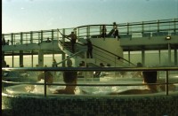 Image of sheet 20020050 photo 25: Costa Viktoria auf Deck