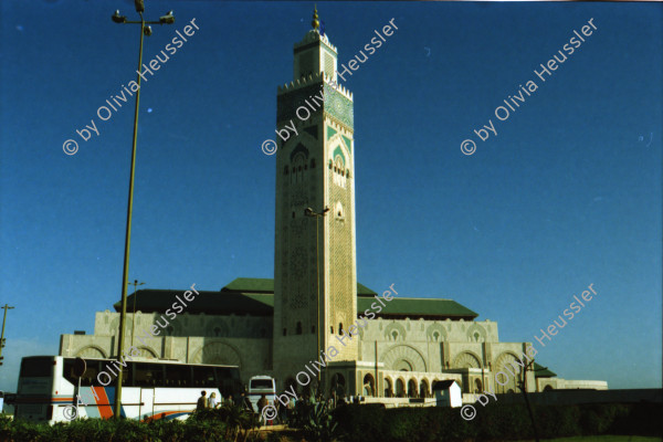 Image of sheet 20020060 photo 10: Wasserträger traditionell 
König Hassan Moschee Alis 
Taubenschwarm