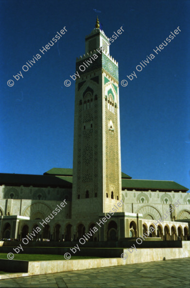 Image of sheet 20020060 photo 11: Wasserträger traditionell 
König Hassan Moschee Alis 
Taubenschwarm