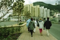 Image of sheet 20020110 photo 0: Affen Meriel und ihre Mutter mit Affen Flughafen Alis und Olivia Heussler
Die Halbinsel Gibraltar Touristen 
Ferien Schifffahrt kreuzfahrt