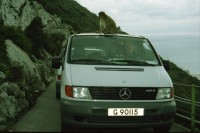 Image of sheet 20020110 photo 16: Affen Meriel und ihre Mutter mit Affen Flughafen Alis und Olivia Heussler
Die Halbinsel Gibraltar Touristen 
Ferien Schifffahrt kreuzfahrt