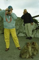 Image of sheet 20020110 photo 19: Affen Meriel und ihre Mutter mit Affen Flughafen Alis und Olivia Heussler
Die Halbinsel Gibraltar Touristen 
Ferien Schifffahrt kreuzfahrt