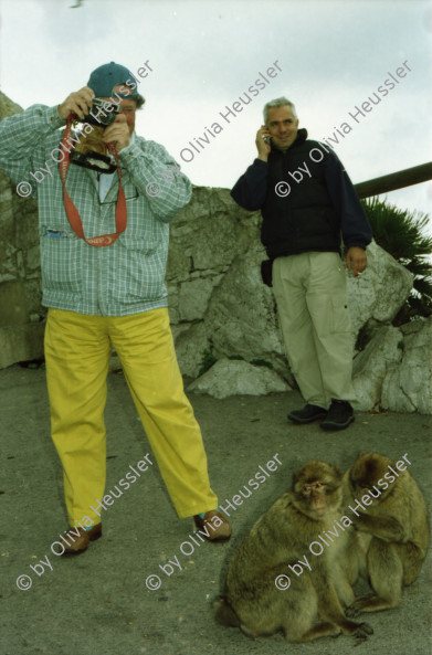 Image of sheet 20020110 photo 19: Affen Meriel und ihre Mutter mit Affen Flughafen Alis und Olivia Heussler
Die Halbinsel Gibraltar Touristen 
Ferien Schifffahrt kreuzfahrt