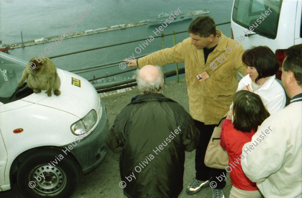 Image of sheet 20020110 photo 20: Affen Meriel und ihre Mutter mit Affen Flughafen Alis und Olivia Heussler
Die Halbinsel Gibraltar Touristen 
Ferien Schifffahrt kreuzfahrt