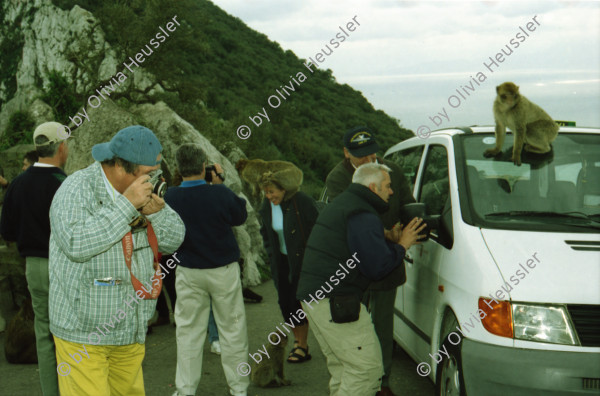 Image of sheet 20020110 photo 22: Affen Meriel und ihre Mutter mit Affen Flughafen Alis und Olivia Heussler
Die Halbinsel Gibraltar Touristen 
Ferien Schifffahrt kreuzfahrt