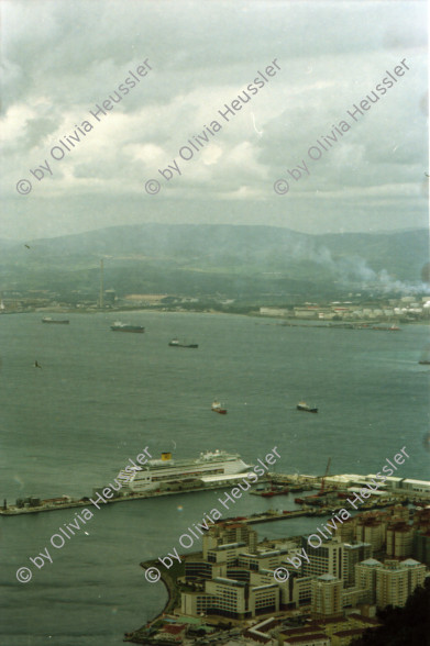 Image of sheet 20020110 photo 25: Affen Meriel und ihre Mutter mit Affen Flughafen Alis und Olivia Heussler
Die Halbinsel Gibraltar Touristen 
Ferien Schifffahrt kreuzfahrt