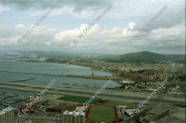 Image of sheet 20020110 photo 36: Affen Meriel und ihre Mutter mit Affen Flughafen Alis und Olivia Heussler
Die Halbinsel Gibraltar Touristen 
Ferien Schifffahrt kreuzfahrt