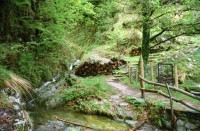 Image of sheet 20020150 photo 6: Familie Helmut Steffanie Walz mit Meret und Lucille und Richard und Barbara Richiger mit Chiara auf Felsen im Wald Waldbrand Kühe Brunnen