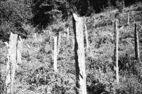 Image of sheet 20020160 photo 10: Barbara Richiger trocknet Lucille Iva Walz die Haare Alis und Chiara liegen und sitzen auf dem Tisch vor dem Cheminee Kamin in der Wohnstube Garten Wald mit Granitsteelen Gordevio 2002
Meret Eingang vom Gotthardtunnel Nord Autotunnel
