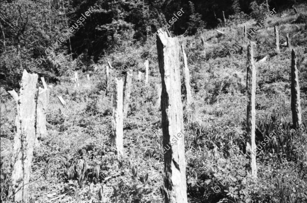 Image of sheet 20020160 photo 10: Barbara Richiger trocknet Lucille Iva Walz die Haare Alis und Chiara liegen und sitzen auf dem Tisch vor dem Cheminee Kamin in der Wohnstube Garten Wald mit Granitsteelen Gordevio 2002
Meret Eingang vom Gotthardtunnel Nord Autotunnel