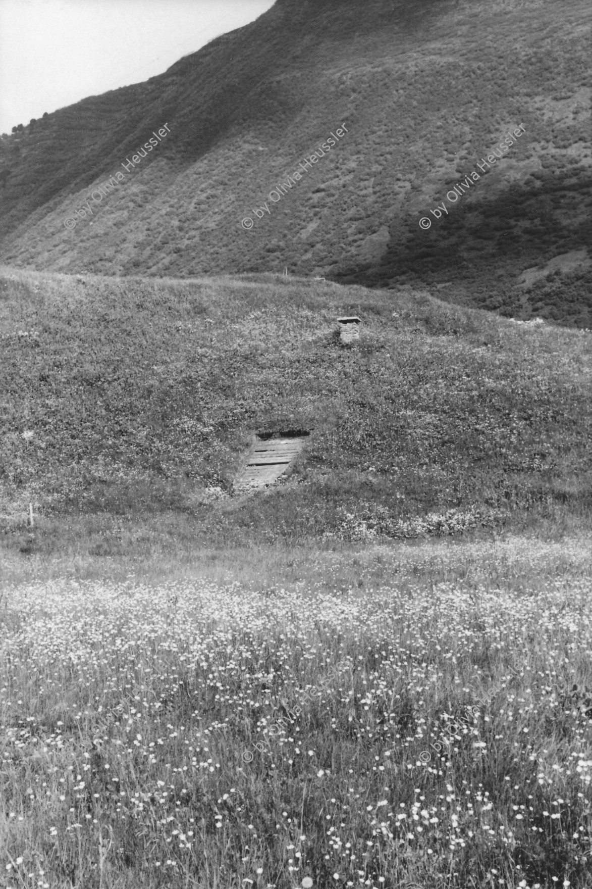 Image of sheet 20020400 photo 30: Gotthardstrasse Andermatt Urserental Felder 
Eingang Bunker im Feld am Berg
Heute baut dort der ägyptische Bauunternehmer Samih Sawiri ein Ferien-resort.
Gotthard Kanton Uri, Schweiz 2002 √