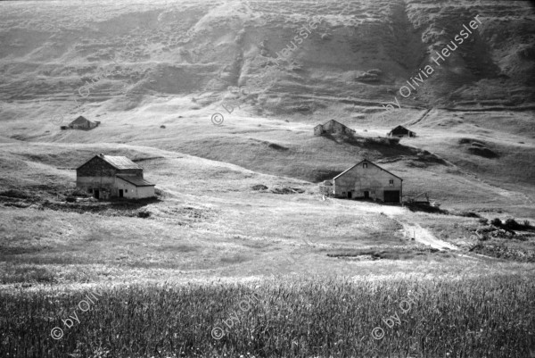 Image of sheet 20020420 photo 24: Uebungsgebiet Mic Urserental Felder Rentner Alois Regli mit Frau und Freunden vor dem 'Sybfiggler' auf Bank in Andermatt Eingang Bunker im Feld am Berg Talstation
Traktor Bauer Urserental Hospental Kuhherde Brücke Mann sitzt in Garten Gans