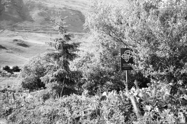 Image of sheet 20020420 photo 26: Uebungsgebiet Mic Urserental Felder Rentner Alois Regli mit Frau und Freunden vor dem 'Sybfiggler' auf Bank in Andermatt Eingang Bunker im Feld am Berg Talstation
Traktor Bauer Urserental Hospental Kuhherde Brücke Mann sitzt in Garten Gans