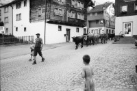 Image of sheet 20020420 photo 31: Urserental Rentner Alois Regli mit Frau und Freunden vor dem 'Sybfiggler' auf Bank in Andermatt Pension retiree old people
Kanton Uri Schweiz Switzerland Europe Gotthard
© 2002, OLIVIA HEUSSLER / www.clic.li  √