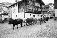 Image of sheet 20020420 photo 32: Urserental Rentner Alois Regli mit Frau und Freunden vor dem 'Sybfiggler' auf Bank in Andermatt Pension retiree old people
Kanton Uri Schweiz Switzerland Europe Gotthard
© 2002, OLIVIA HEUSSLER / www.clic.li  √