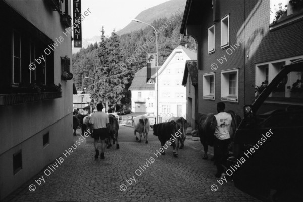 Image of sheet 20020420 photo 35: Urserental Rentner Alois Regli mit Frau und Freunden vor dem 'Sybfiggler' auf Bank in Andermatt Pension retiree old people
Kanton Uri Schweiz Switzerland Europe Gotthard
© 2002, OLIVIA HEUSSLER / www.clic.li  √