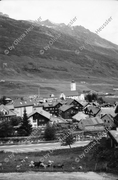 Image of sheet 20020440 photo 9: Die Gemeinde Hospental liegt im Süden Uris im Urserental zwischen Andermatt und Realp am Zusammenfluss von Furka- und Gotthardreuss. Die Gemeinde besteht ausschliesslich aus dem gleichnamigen Strassendorf und der früheren Walsersiedlung Zumdorf, die zur Zeit (2009) von vier Personen ganzjährig bewohnt wird.
Gotthard Hospental alte Gotthardpassstrasse Betonplatten Steinbruch Serpentin 
Chämleten oberhalb Hospental
Kuh Kühe und Rinder vor Tagesabbruch Steinbruch Sicht auf Andermatt ins Urserental Landwirt Ludwig Müller und Familie vor der Alphütte auf dem Gamsboden Luftfilter Gotthard Strassentunnel Abluft Frischluft Drehtüre
Kanton Uri, Schweiz Switzerland

aus: Gotthard, das Hindernis verbindet.