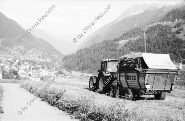 Image of sheet 20020530 photo 35: Kaserne Bedrina Fondo del Bosco über Airolo Heuwagen Forte Airolo Kanton Tessin, Ticino, Svizzera Schweiz, Switzerland
aus: Gotthard, das Hindernis verbindet.