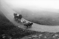Image of sheet 20020580 photo 11: Perdekutsche auf der Tremola Nebel Rösslikutsche Pferdegespann
aus: Gotthard, das Hindernis verbindet