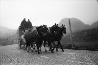 Image of sheet 20020580 photo 6: alte Gotthardpost Tremola Nebel Rösslikutsche Pferdegespann Gotthard