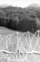 Image of sheet 20020670 photo 10: Drehlafette einer Festungskanone militärische Festung
Im ehemaligen Artilleriewerk Réduit im oberen Teil der Festung Foppa Grande oberhalb Airolo Minenwerfer mit Stahlkuppel.
Schweizer Festungsgeschütz die ausgedienten Kanonen des Réduits national.
Blick über das Forte Airolo in die Leventina
Im ehemaligen Réduit lagern Riserva Merlot 'Gran Secreto' Weinflaschen Festung dient als Weinkeller Im Museo Forte Airolo Lagern alte Munition
Abbildung General Guisan Forte Airolo Schachtel mit Parkdienstmaterial
aus: Gotthard, das Hindernis verbindet. Schweiz, Switzerland, Svizzera, Kanton Tessin, Ticino, Via Gottardo
