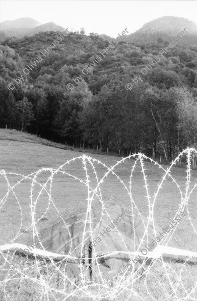 Image of sheet 20020670 photo 10: Drehlafette einer Festungskanone militärische Festung
Im ehemaligen Artilleriewerk Réduit im oberen Teil der Festung Foppa Grande oberhalb Airolo Minenwerfer mit Stahlkuppel.
Schweizer Festungsgeschütz die ausgedienten Kanonen des Réduits national.
Blick über das Forte Airolo in die Leventina
Im ehemaligen Réduit lagern Riserva Merlot 'Gran Secreto' Weinflaschen Festung dient als Weinkeller Im Museo Forte Airolo Lagern alte Munition
Abbildung General Guisan Forte Airolo Schachtel mit Parkdienstmaterial
aus: Gotthard, das Hindernis verbindet. Schweiz, Switzerland, Svizzera, Kanton Tessin, Ticino, Via Gottardo