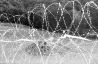 Image of sheet 20020670 photo 9: Drehlafette einer Festungskanone militärische Festung
Im ehemaligen Artilleriewerk Réduit im oberen Teil der Festung Foppa Grande oberhalb Airolo Minenwerfer mit Stahlkuppel.
Schweizer Festungsgeschütz die ausgedienten Kanonen des Réduits national.
Blick über das Forte Airolo in die Leventina
Im ehemaligen Réduit lagern Riserva Merlot 'Gran Secreto' Weinflaschen Festung dient als Weinkeller Im Museo Forte Airolo Lagern alte Munition
Abbildung General Guisan Forte Airolo Schachtel mit Parkdienstmaterial
aus: Gotthard, das Hindernis verbindet. Schweiz, Switzerland, Svizzera, Kanton Tessin, Ticino, Via Gottardo