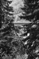 Image of sheet 20020680 photo 4: Autoschlangen auf der Nordachse des Gotthardpasses Teufelsstein am Nordportal Gotthard Strassentunnel Uri Wohnwagen Belüftungsanlage vor Operalpbahn Alis steht vor Flieger Denkmal und Passhöhentafel Gotthard Hospiz Cervelat Bratwurst Stand Urserental oberhalb Andermatt