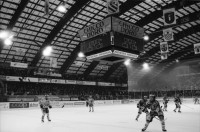 Image of sheet 20020850 photo 2: HCAP Hockeyclub Ambri Piotta spielt in Ambri im Valascia Stadion Eishalle mit Fans Curva Che Guevara Emblem gegen Davos Werbung Chicco Doro Gioventu Biancoblu

aus: Gotthard, das Hindernis verbindet. Leventina, Kanton Tessin, Ticino, Schweiz Svizzera, Switzerland
