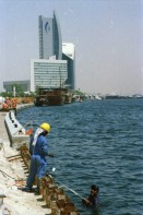 Image of sheet 20030020 photo 16: A