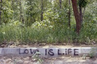 Image of sheet 20030030 photo 1: Love is life. steht am Rand einer wilden Haschischbeflanzung in der Hauptstadt Islamabad Pakistan
Grafitti Gehsteig Trottoir
Love is life
steht an einer Mauer dahinter Gras Marihuana Hanf THC haltige pflanzen wilde
Islamabad Pakistan