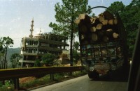 Image of sheet 20030040 photo 13: Autobus Car Transport auf der Strasse von der Hauptstadt Islamabad nach Murree M. ist eine Kleinstadt in der Provinz Punjab in Nord-Pakistan
Leute Männer und ein Mädchen beim Wasser holen am Tanklastwagen. Frauen Holztransport Lastwagen beschmückt Linksverkehr Bäume im Galyat tal