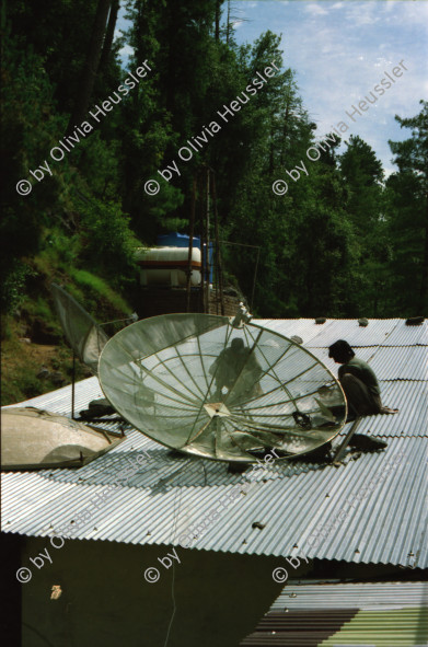 Image of sheet 20030050 photo 2: Murree ist eine Kleinstadt in der Provinz Punjab in Nord-Pakistan
Kinder mit farbigen Ballonen Hotel alter Mann und Schimmel weisses Pferd steht am Eingang Blecksoldaten zum abknallen mit dem Luftgewehr Spiel alte Bäume