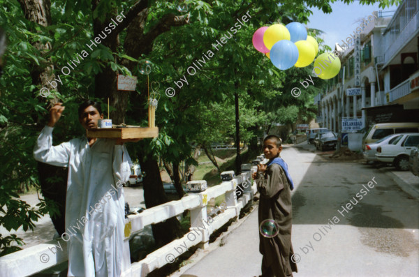 Image of sheet 20030050 photo 21: Murree ist eine Kleinstadt in der Provinz Punjab in Nord-Pakistan
Kinder mit farbigen Ballonen Hotel alter Mann und Schimmel weisses Pferd steht am Eingang Blecksoldaten zum abknallen mit dem Luftgewehr Spiel alte Bäume