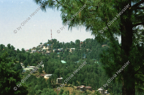 Image of sheet 20030050 photo 26: Murree ist eine Kleinstadt in der Provinz Punjab in Nord-Pakistan
Kinder mit farbigen Ballonen Hotel alter Mann und Schimmel weisses Pferd steht am Eingang Blecksoldaten zum abknallen mit dem Luftgewehr Spiel alte Bäume