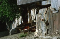 Image of sheet 20030050 photo 3: Murree ist eine Kleinstadt in der Provinz Punjab in Nord-Pakistan
Kinder mit farbigen Ballonen Hotel alter Mann und Schimmel weisses Pferd steht am Eingang Blecksoldaten zum abknallen mit dem Luftgewehr Spiel alte Bäume