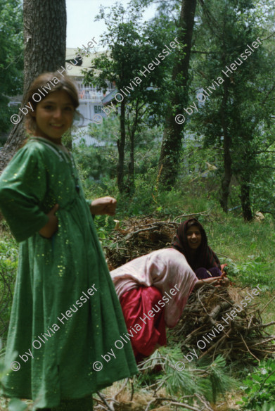 Image of sheet 20030050 photo 36: Murree ist eine Kleinstadt in der Provinz Punjab in Nord-Pakistan
Kinder mit farbigen Ballonen Hotel alter Mann und Schimmel weisses Pferd steht am Eingang Blecksoldaten zum abknallen mit dem Luftgewehr Spiel alte Bäume