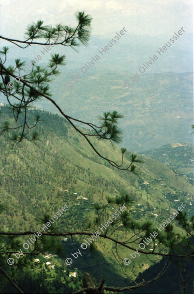 Image of sheet 20030070 photo 20: Car Transport auf der Strasse von der Hauptstadt Islamabad nach Murree M. ist eine Kleinstadt in der Provinz Punjab in Nord-Pakistan Ajubia Park
Ayubia is small town in the Khyber-Pakhtunkhwa province of Pakistan. It is located near the Murree hills and Galyat and is home to Ayubia National Park. It is a very famous tourist destination and includes one of the oldest chair lifts of the area.
Leute Männer und Frauen beim Wasser holen mit Flaschen. Frauen Bäume im Galyat tal
(eine der ältesten) Gondelbahn auch für Familien im National Park. Farige Fahnen und ein Bube mit Blumen Haarschmuck