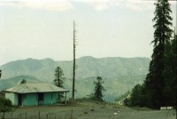 Image of sheet 20030070 photo 22: Car Transport auf der Strasse von der Hauptstadt Islamabad nach Murree M. ist eine Kleinstadt in der Provinz Punjab in Nord-Pakistan Ajubia Park
Ayubia is small town in the Khyber-Pakhtunkhwa province of Pakistan. It is located near the Murree hills and Galyat and is home to Ayubia National Park. It is a very famous tourist destination and includes one of the oldest chair lifts of the area.
Leute Männer und Frauen beim Wasser holen mit Flaschen. Frauen Bäume im Galyat tal
(eine der ältesten) Gondelbahn auch für Familien im National Park. Farige Fahnen und ein Bube mit Blumen Haarschmuck