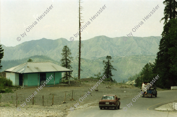 Image of sheet 20030070 photo 24: Car Transport auf der Strasse von der Hauptstadt Islamabad nach Murree M. ist eine Kleinstadt in der Provinz Punjab in Nord-Pakistan Ajubia Park
Ayubia is small town in the Khyber-Pakhtunkhwa province of Pakistan. It is located near the Murree hills and Galyat and is home to Ayubia National Park. It is a very famous tourist destination and includes one of the oldest chair lifts of the area.
Leute Männer und Frauen beim Wasser holen mit Flaschen. Frauen Bäume im Galyat tal
(eine der ältesten) Gondelbahn auch für Familien im National Park. Farige Fahnen und ein Bube mit Blumen Haarschmuck