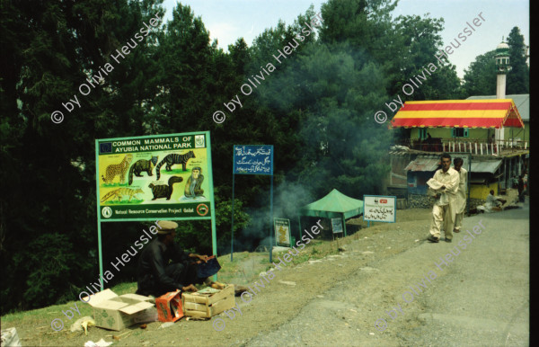 Image of sheet 20030070 photo 26: Car Transport auf der Strasse von der Hauptstadt Islamabad nach Murree M. ist eine Kleinstadt in der Provinz Punjab in Nord-Pakistan Ajubia Park
Ayubia is small town in the Khyber-Pakhtunkhwa province of Pakistan. It is located near the Murree hills and Galyat and is home to Ayubia National Park. It is a very famous tourist destination and includes one of the oldest chair lifts of the area.
Leute Männer und Frauen beim Wasser holen mit Flaschen. Frauen Bäume im Galyat tal
(eine der ältesten) Gondelbahn auch für Familien im National Park. Farige Fahnen und ein Bube mit Blumen Haarschmuck