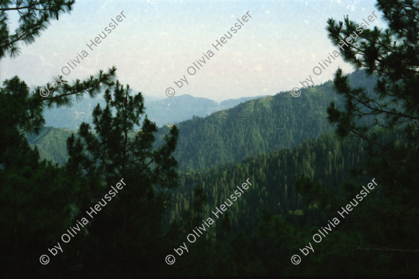 Image of sheet 20030090 photo 1: Ayubia is a small town in the Khyber-Pakhtunkhwa province of Pakistan. It is located near the Pakistan Kahmir hills and Galyat is home to Ayubia National Park. It is a very famous tourist destination and includes one of the oldest chair lifts of the area.
Leute Männer  Shahzad Khan Mann beim Wasser filtern mit Katadyn in Pet Flaschen.  Wald Bäume im Galyat tal
(eine der ältesten) Gondelbahn auch für Familien im National Park. Staatliches Hotel