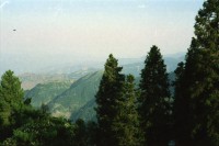 Image of sheet 20030090 photo 10: Ayubia is a small town in the Khyber-Pakhtunkhwa province of Pakistan. It is located near the Pakistan Kahmir hills and Galyat is home to Ayubia National Park. It is a very famous tourist destination and includes one of the oldest chair lifts of the area.
Leute Männer  Shahzad Khan Mann beim Wasser filtern mit Katadyn in Pet Flaschen.  Wald Bäume im Galyat tal
(eine der ältesten) Gondelbahn auch für Familien im National Park. Staatliches Hotel
