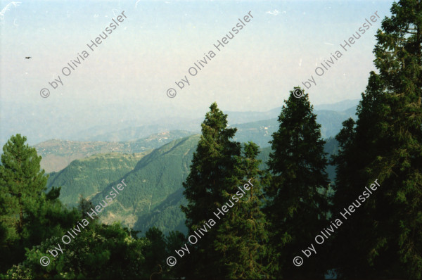 Image of sheet 20030090 photo 10: Ayubia is a small town in the Khyber-Pakhtunkhwa province of Pakistan. It is located near the Pakistan Kahmir hills and Galyat is home to Ayubia National Park. It is a very famous tourist destination and includes one of the oldest chair lifts of the area.
Leute Männer  Shahzad Khan Mann beim Wasser filtern mit Katadyn in Pet Flaschen.  Wald Bäume im Galyat tal
(eine der ältesten) Gondelbahn auch für Familien im National Park. Staatliches Hotel