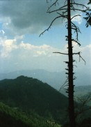 Image of sheet 20030090 photo 36: Ayubia is a small town in the Khyber-Pakhtunkhwa province of Pakistan. It is located near the Pakistan Kahmir hills and Galyat is home to Ayubia National Park. It is a very famous tourist destination and includes one of the oldest chair lifts of the area.
Leute Männer  Shahzad Khan Mann beim Wasser filtern mit Katadyn in Pet Flaschen.  Wald Bäume im Galyat tal
(eine der ältesten) Gondelbahn auch für Familien im National Park. Staatliches Hotel